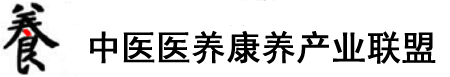 茄子看片jj插bb视频在线看